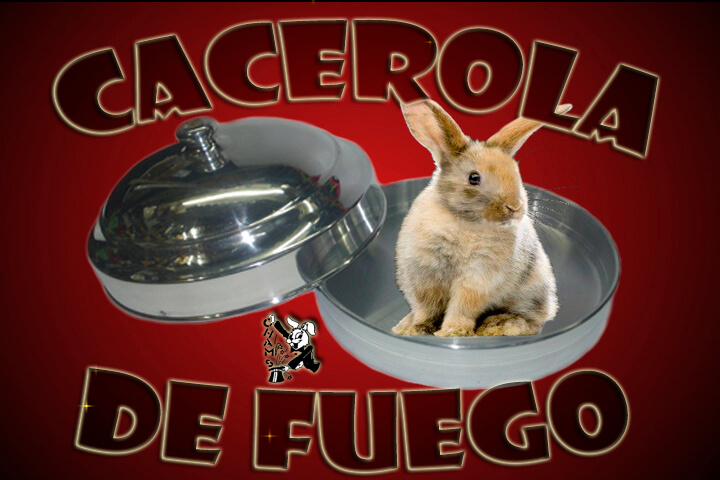 CACEROLA PALOMA
