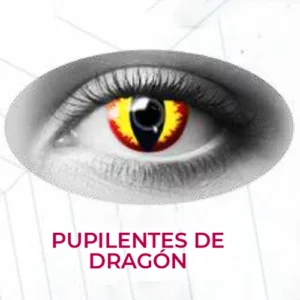 Pupilentes de Dragon