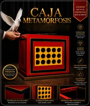 A A Caja Metamorfosis